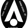 Karakal Tennis Racquetball Stencil -RacquetDepot karakal tennis racquetball stencil 42607 72271.1698771222