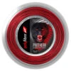 Polyfibre Panthera 17 1.20mm 120M Reel -RacquetDepot polyfibre panthera 17 1 20mm 120m reel 67653 87703.1698771823
