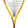 Prince Phoenix Elite 700 Squash Racquet -RacquetDepot prince phoenix elite 700 squash racquet 68524 61552.1698772310