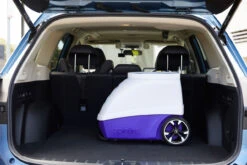 Spinfire Cricket Ball Machine -RacquetDepot spinfire pro 2 tennis ball machine in car 26305 83007.1721594610.1280.1280 35558.1725528294