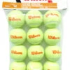 Wilson Starter Orange Tennis Balls Dozen 1 Wilson Starter Orange Tennis Balls Dozen -RacquetDepot wilson starter orange balls dozen 40267 83813.1698769438